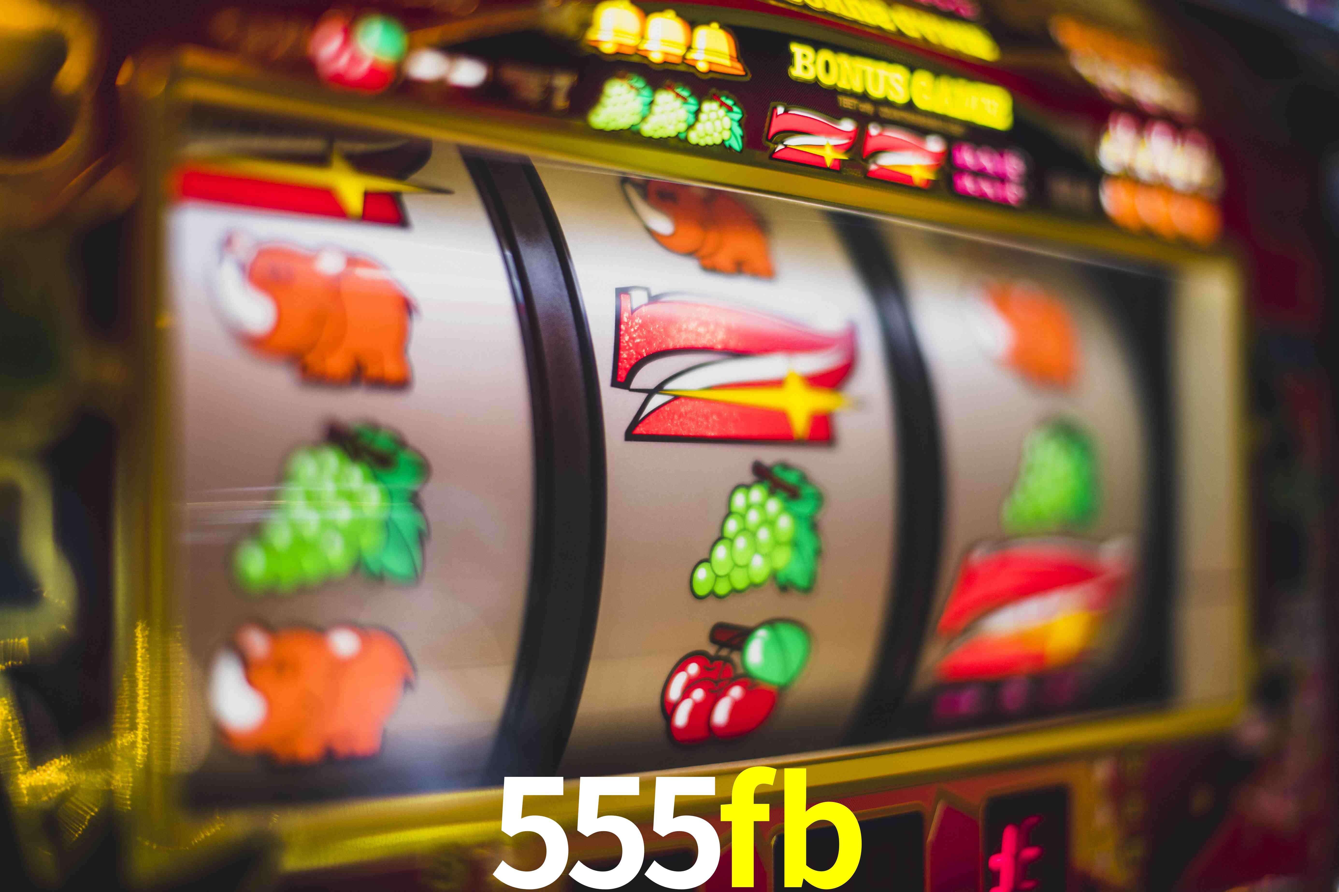 VIP Casino 555fb